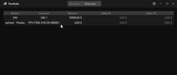 portfolio accounts